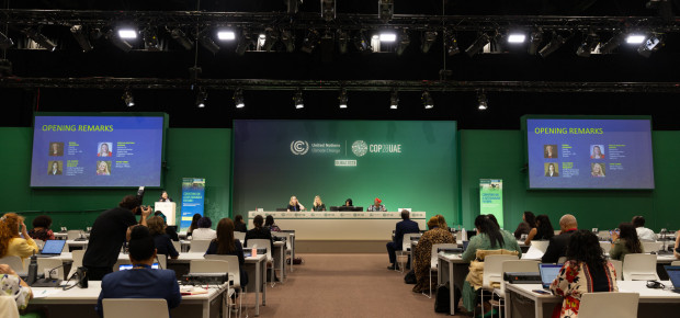 GENDER AND ENVIRONMENT DATA CONFERENCE COP28