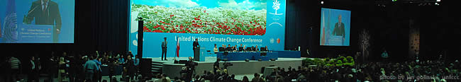 Statements made during COP 14 and CMP 4
