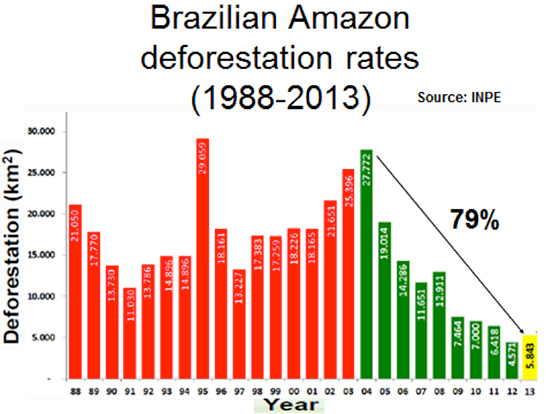 Deforestation A Tre E Mendous Problem The Modern Day Plague Geography Of Brazil