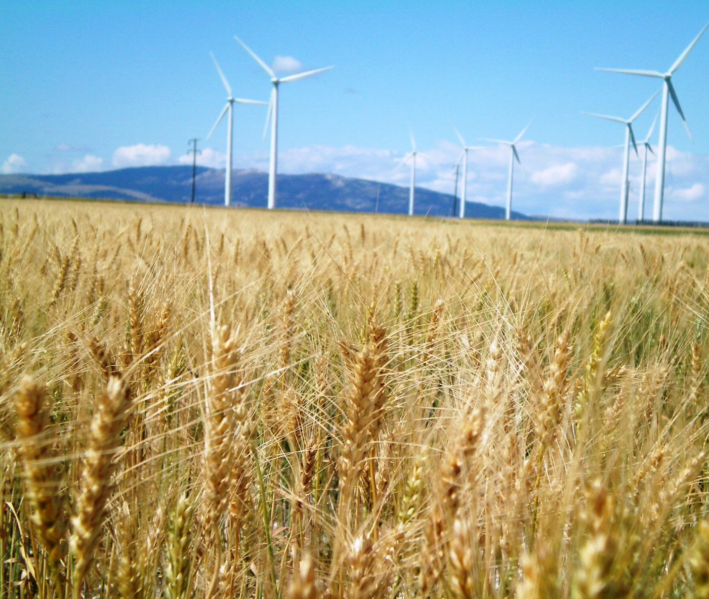 Wind farm USA