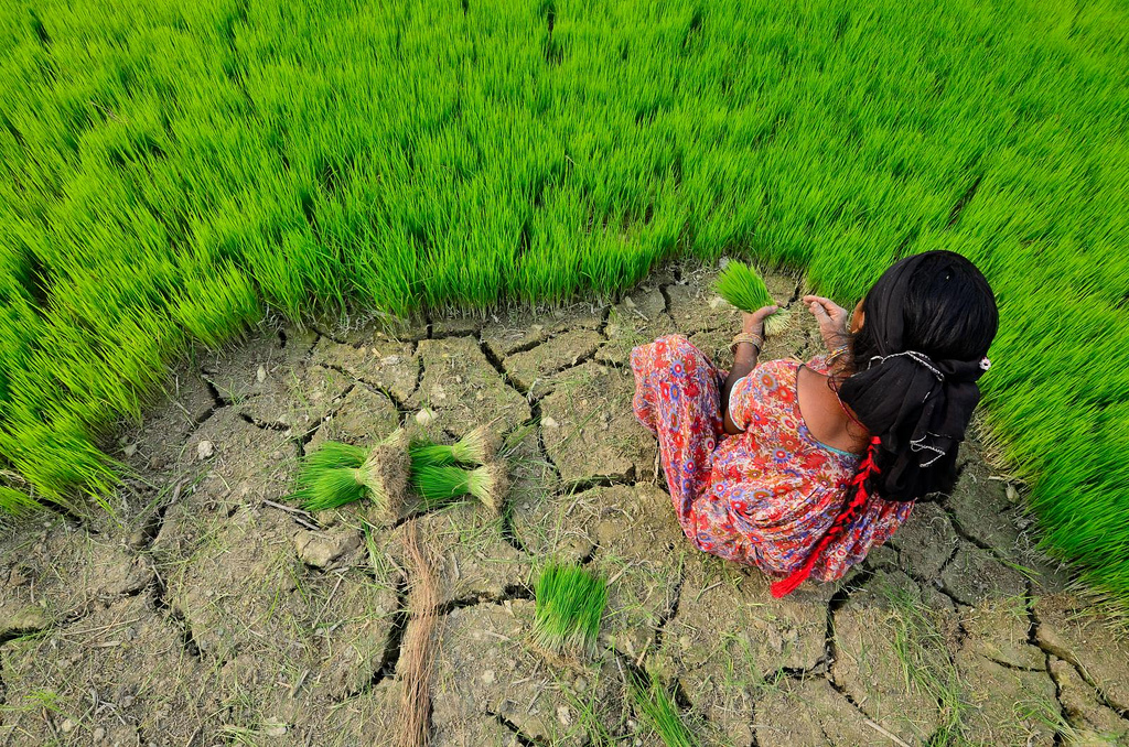 For many developing countries, climate change poses a fundamental threat to their way of life 