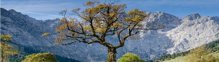 Paris Committee on Capacity-building