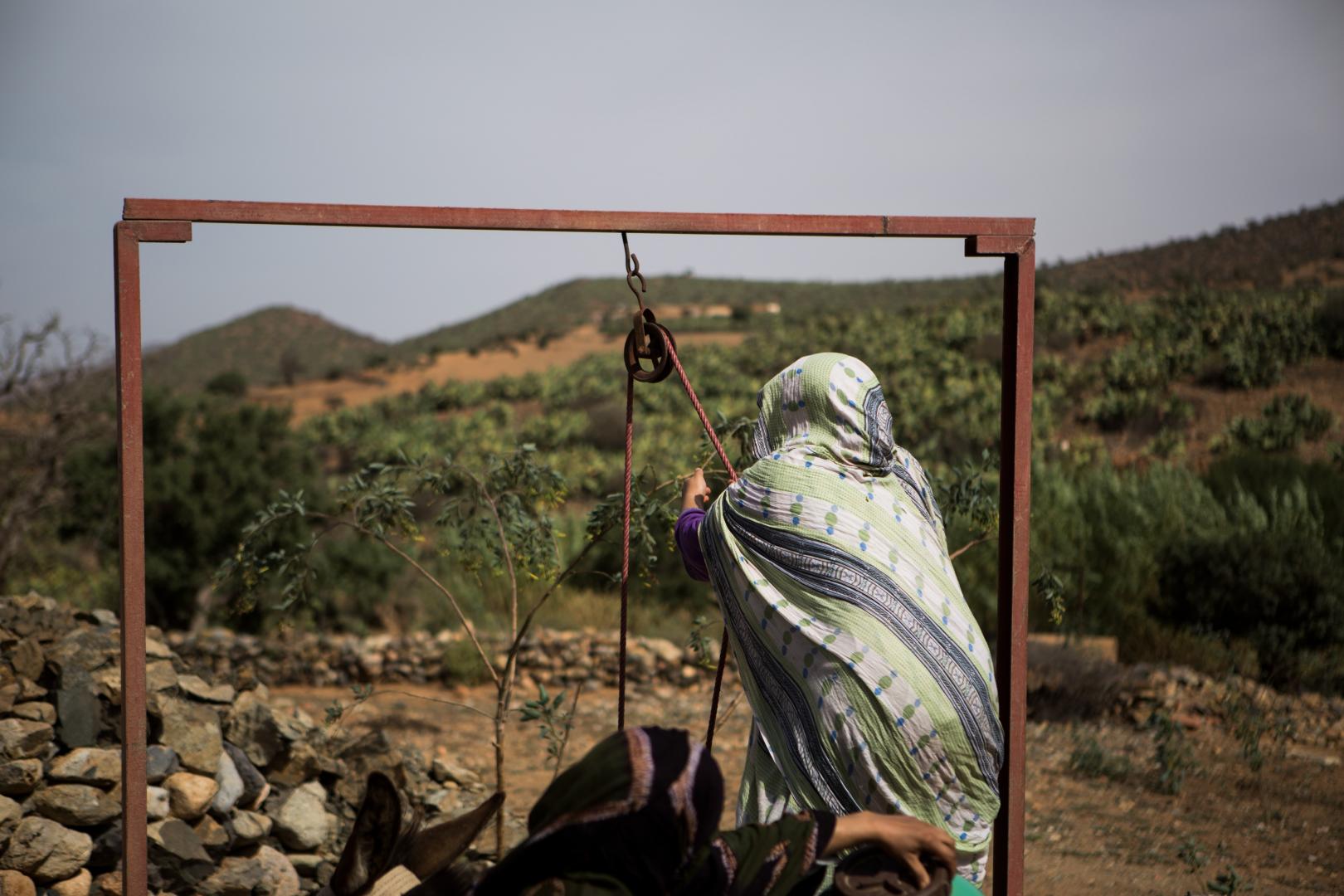 WOMEN-LED FOG HARVESTING FOR A RESILIENT, SUSTAINABLE ECOSYSTEM | MOROCCO