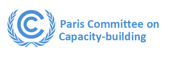 Paris Committee on Capacity-Building