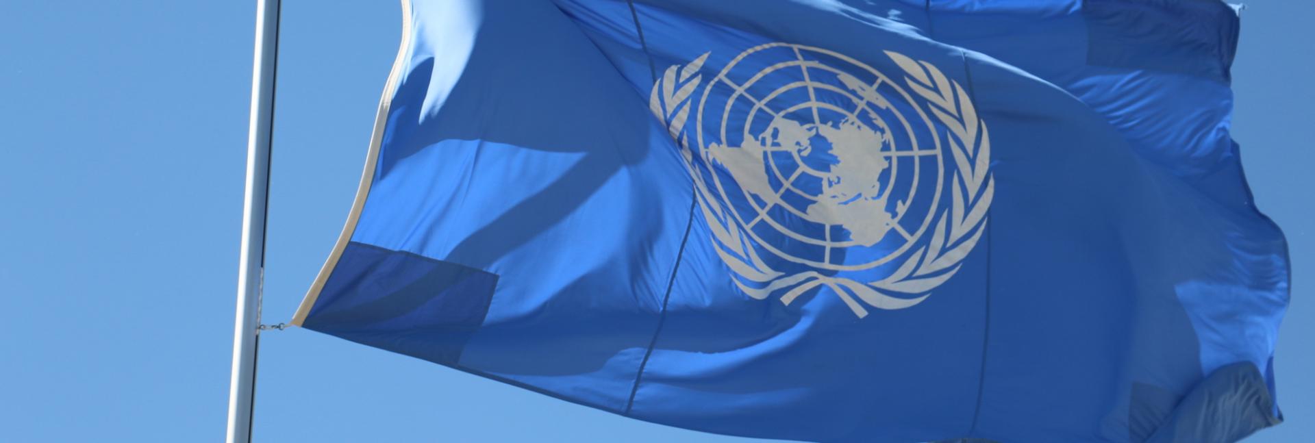 UN Flag
