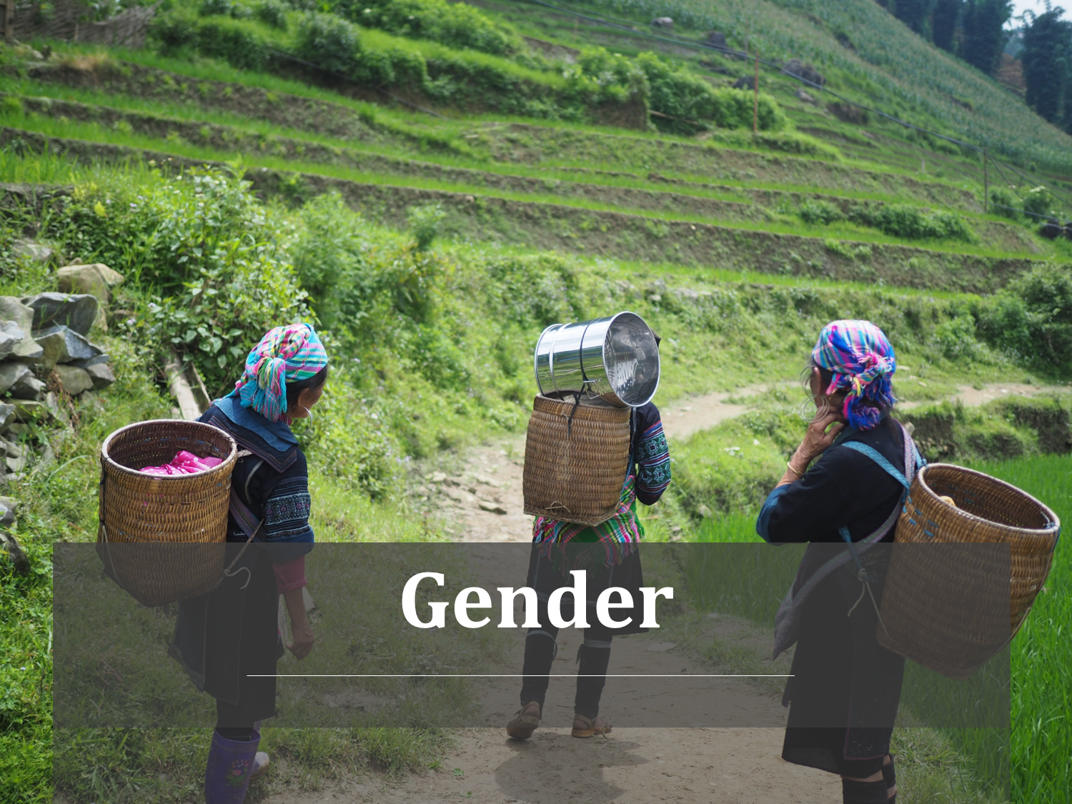 Gender