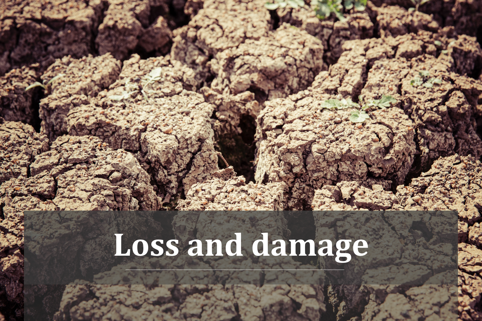 Loss and damage