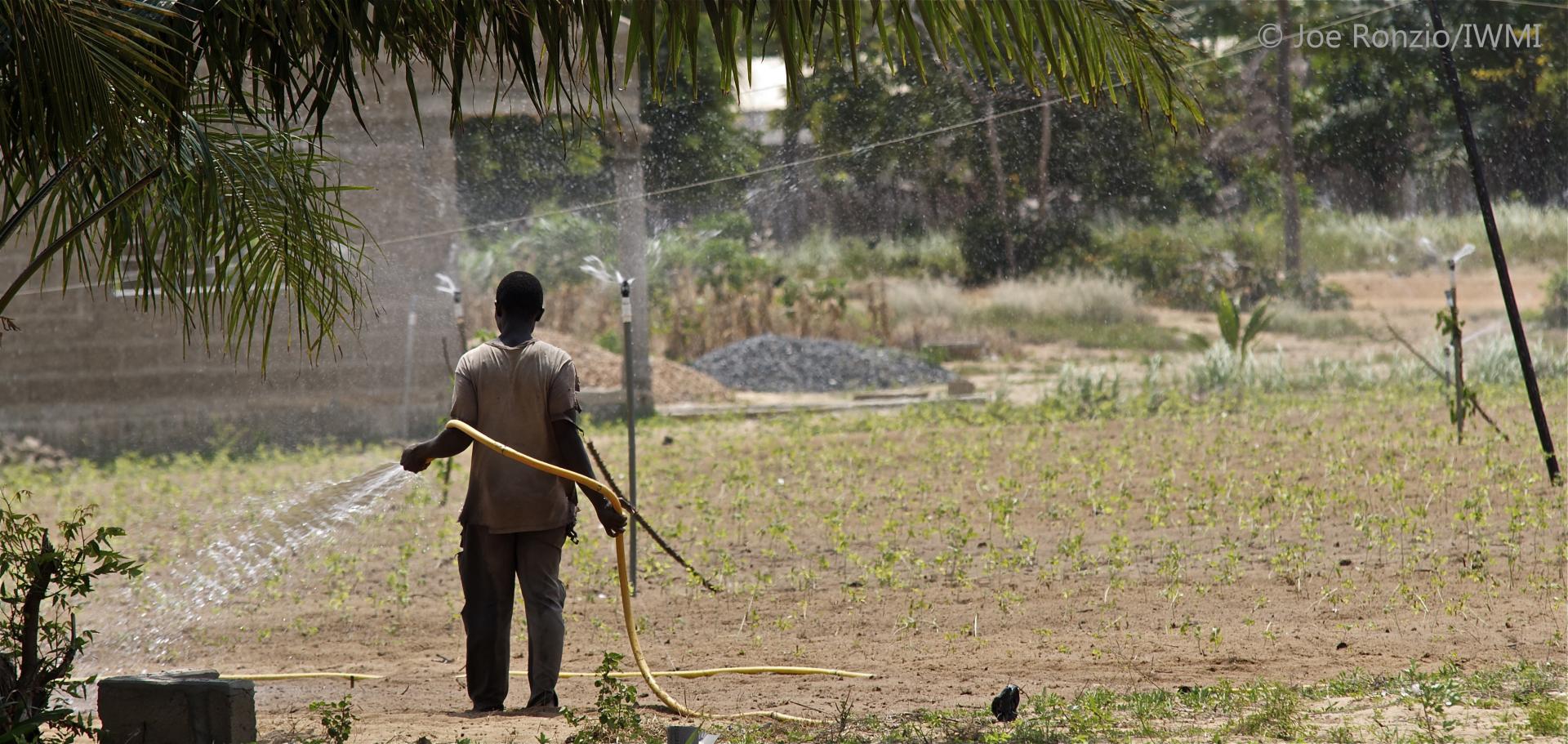 Irrigation with sprinklers in Ghana
