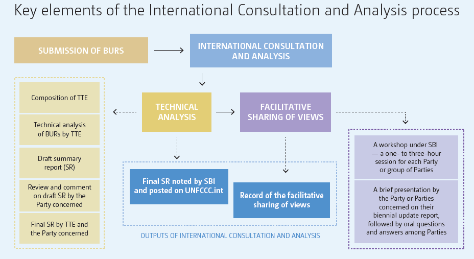 Key elements of the international consultation and analysis process