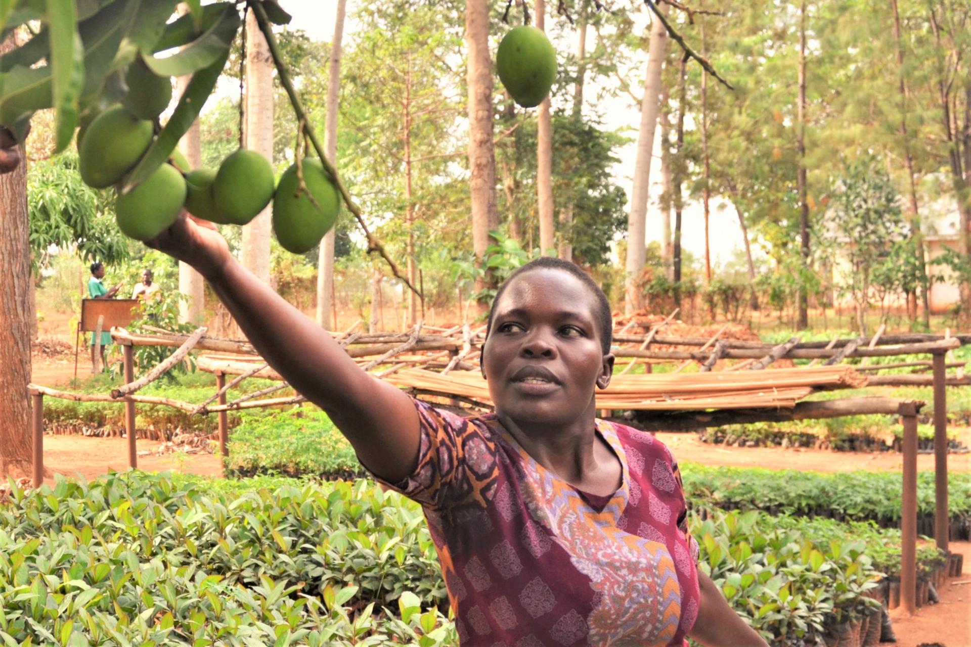 Wales Mbale-4