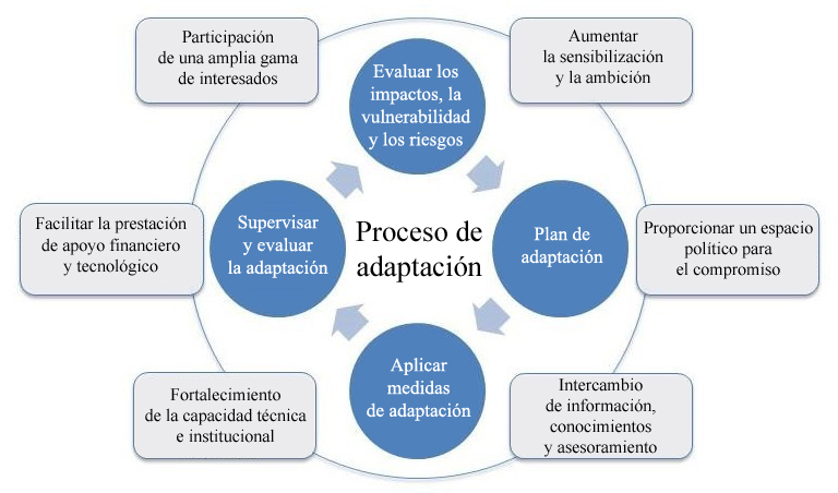 Adaptación, gráfico en español