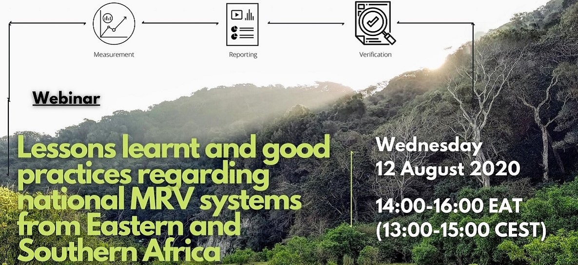 MRV Flyer