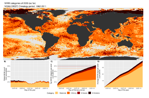 WMO no captions, Ocean elevation.png