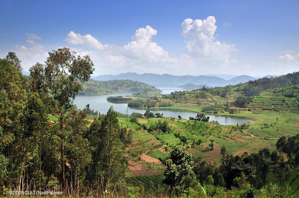 Rwanda_RCCKampala