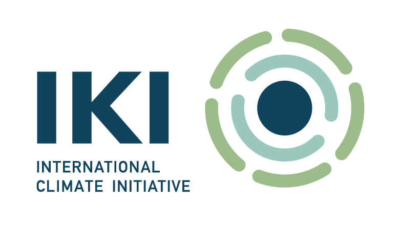 International Climate Initiative logo