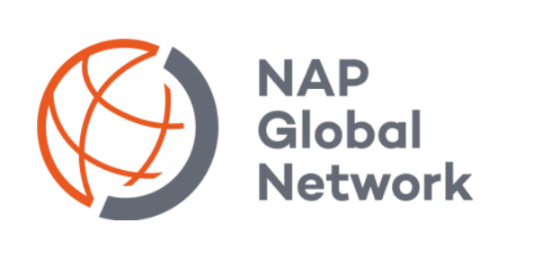 NAP Global Network Logo 