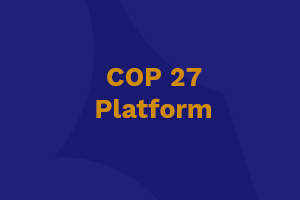 Access the COP 27 delegate platform