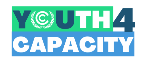youth4capacity logo