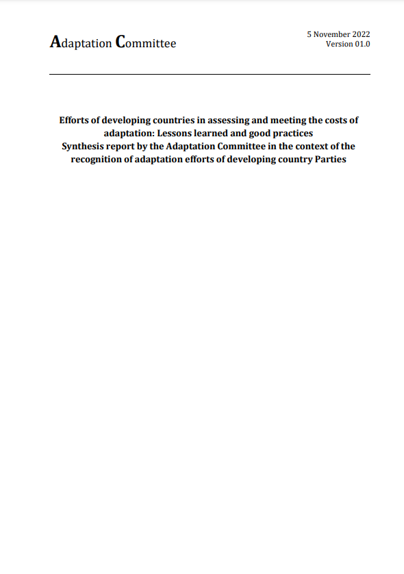 Efforts for developing countries in assessing and meeting the costs