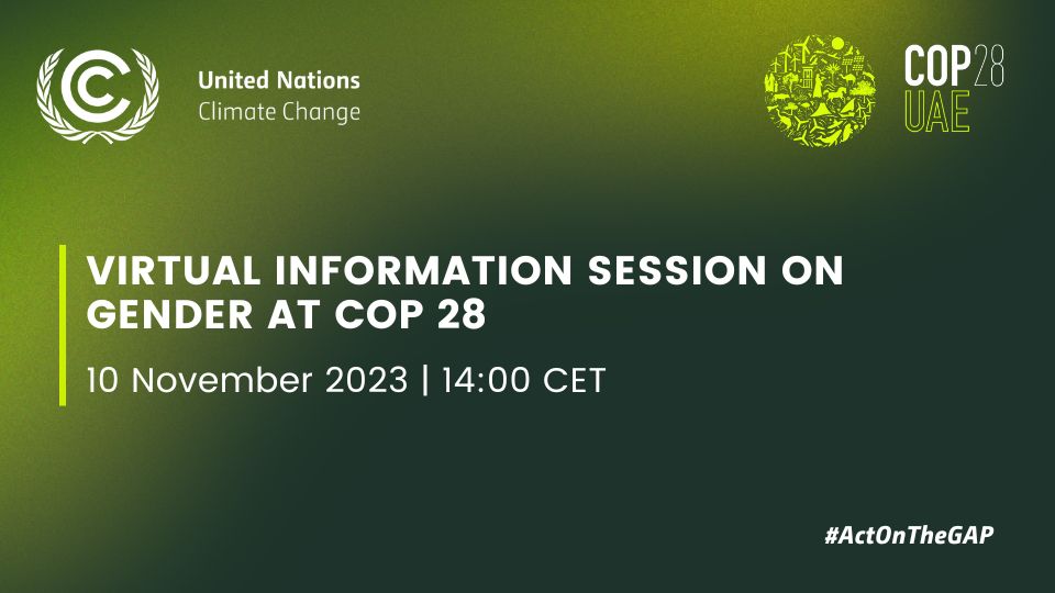 Info session on gender COP 28