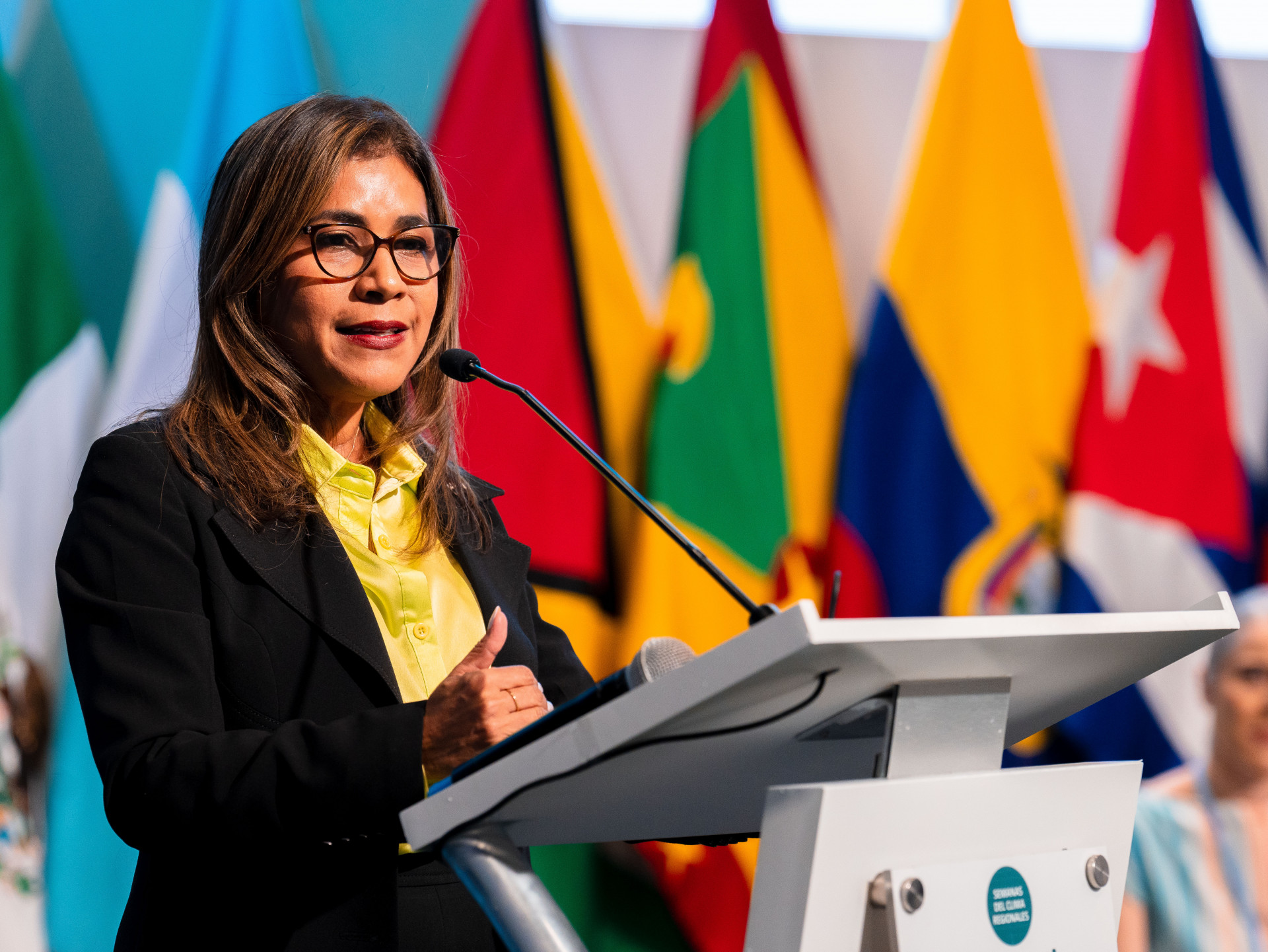 Diana Laguna, Panama Vice-Minister of Environment, at the opening of the two-day ETF dialogue.