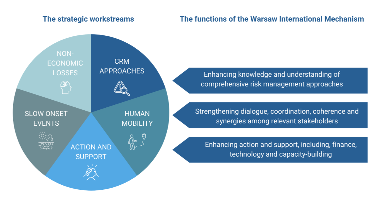 Workstreams and functions of the WIM