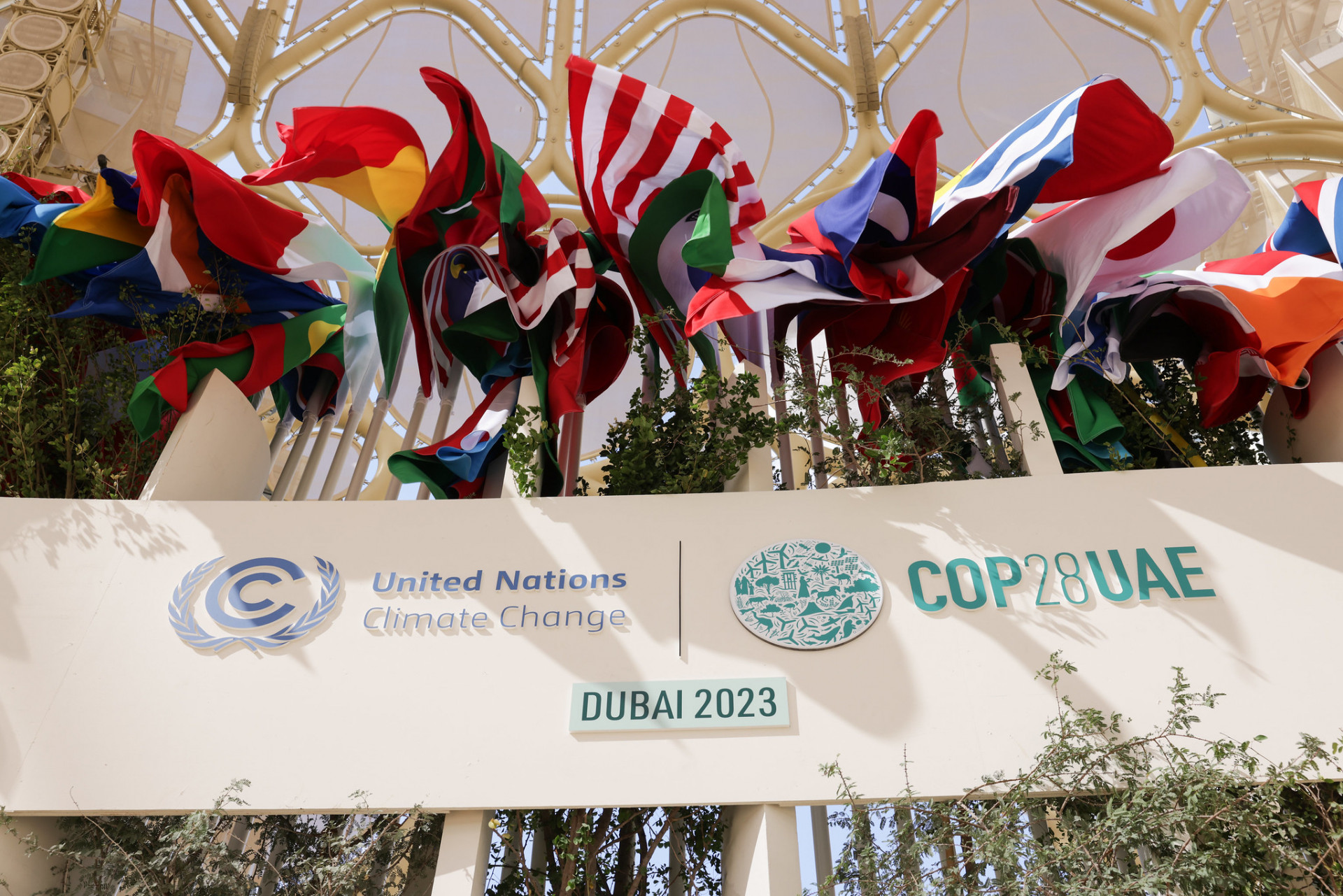 Flags outside COP28