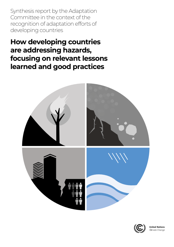 How developing countries are addressing hazards