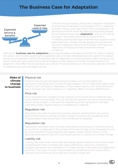 business case of adaptation.PNG