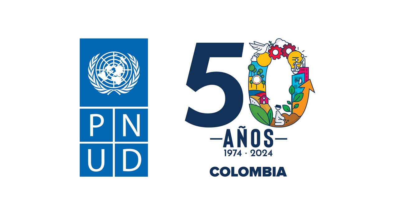 UNDP Logo - NCQG