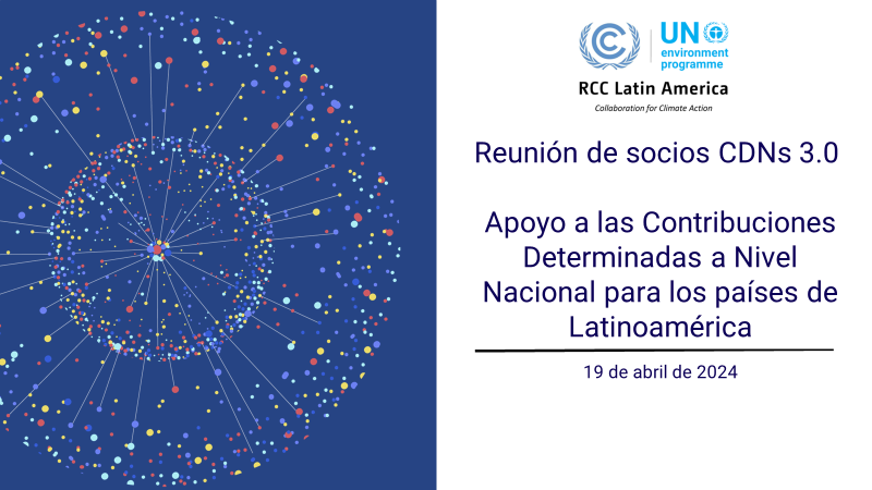 RCC Latin America Partners Meeting