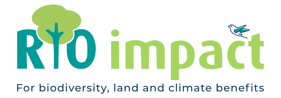 Rio Impact Logo