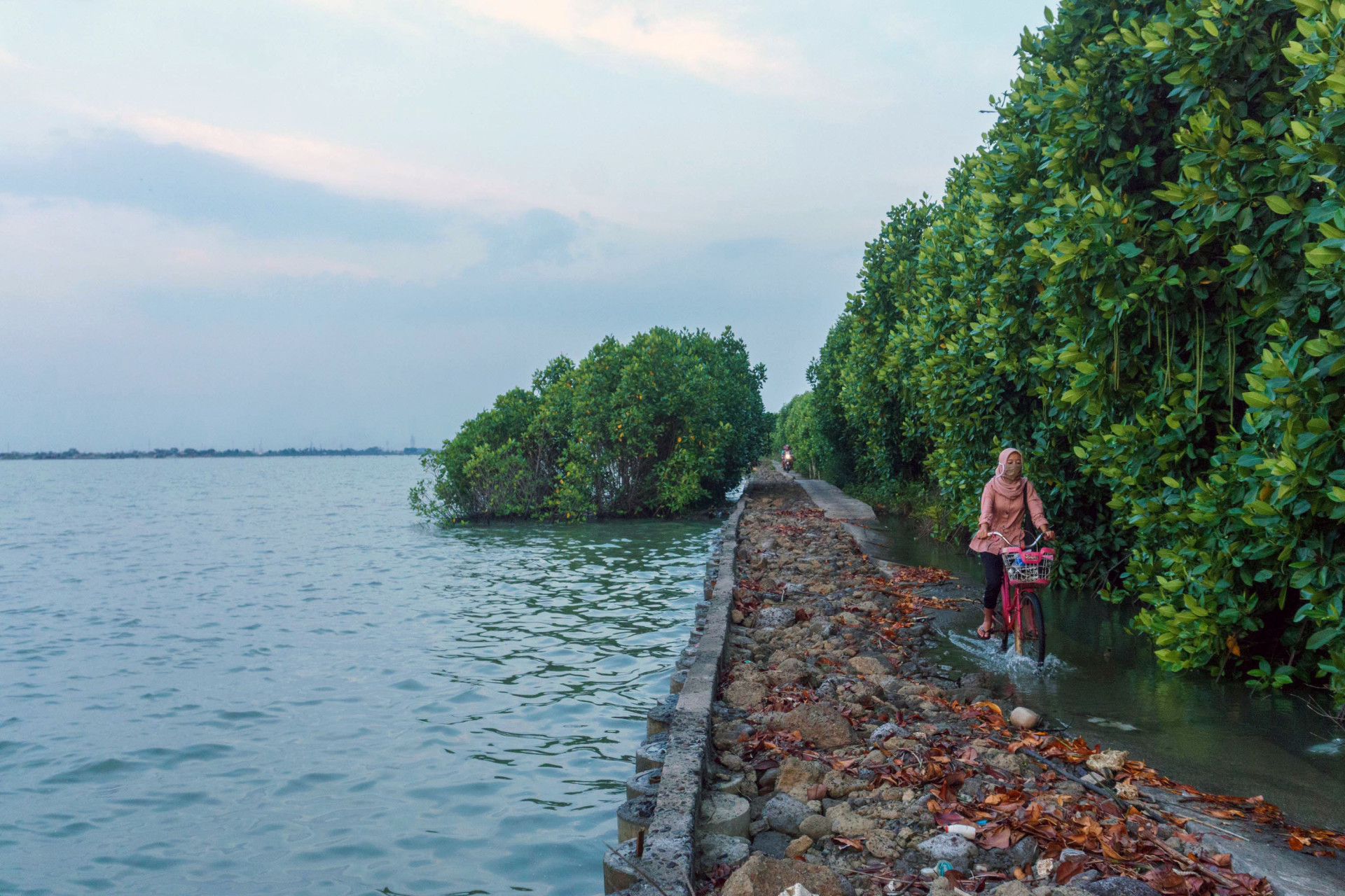 A woman on her way home from work, cycling along a path that is flooded every day by rising sea levels, in Demak, Indonesia.