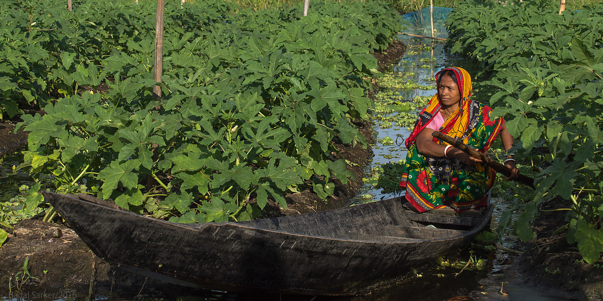 Baija floating gardens