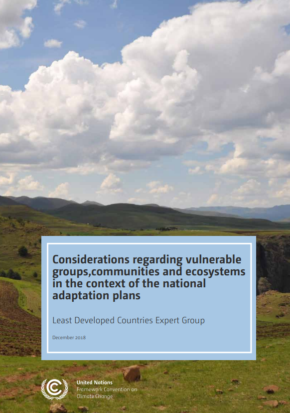 Considerations regarding vulnerable groups Cover