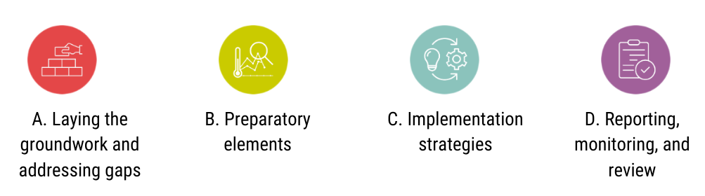 Elements of NAP initial guidelines