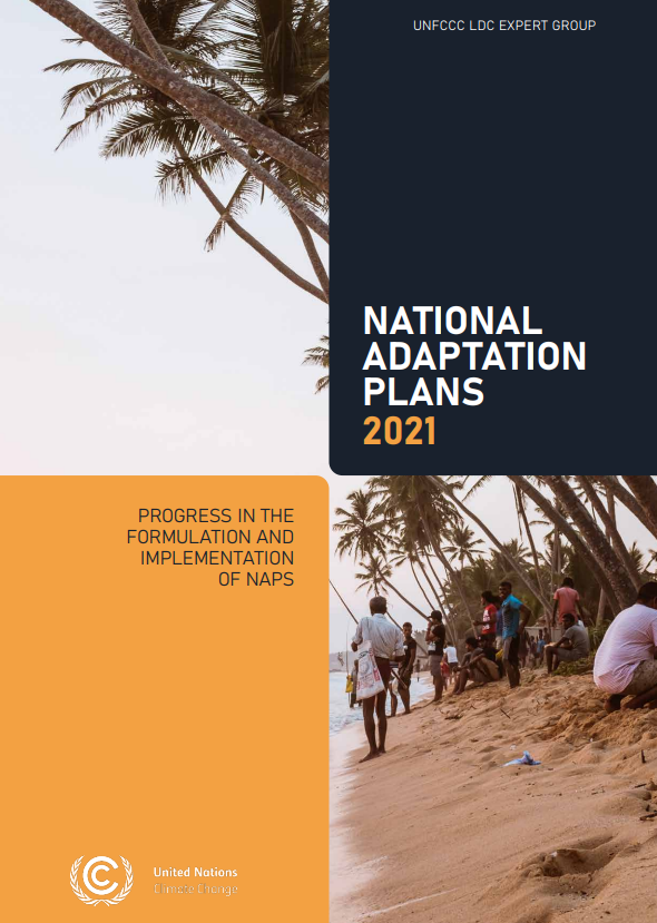 NAP Progress 2021 Cover