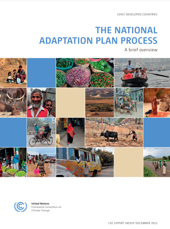 NAP Process Overview Cover