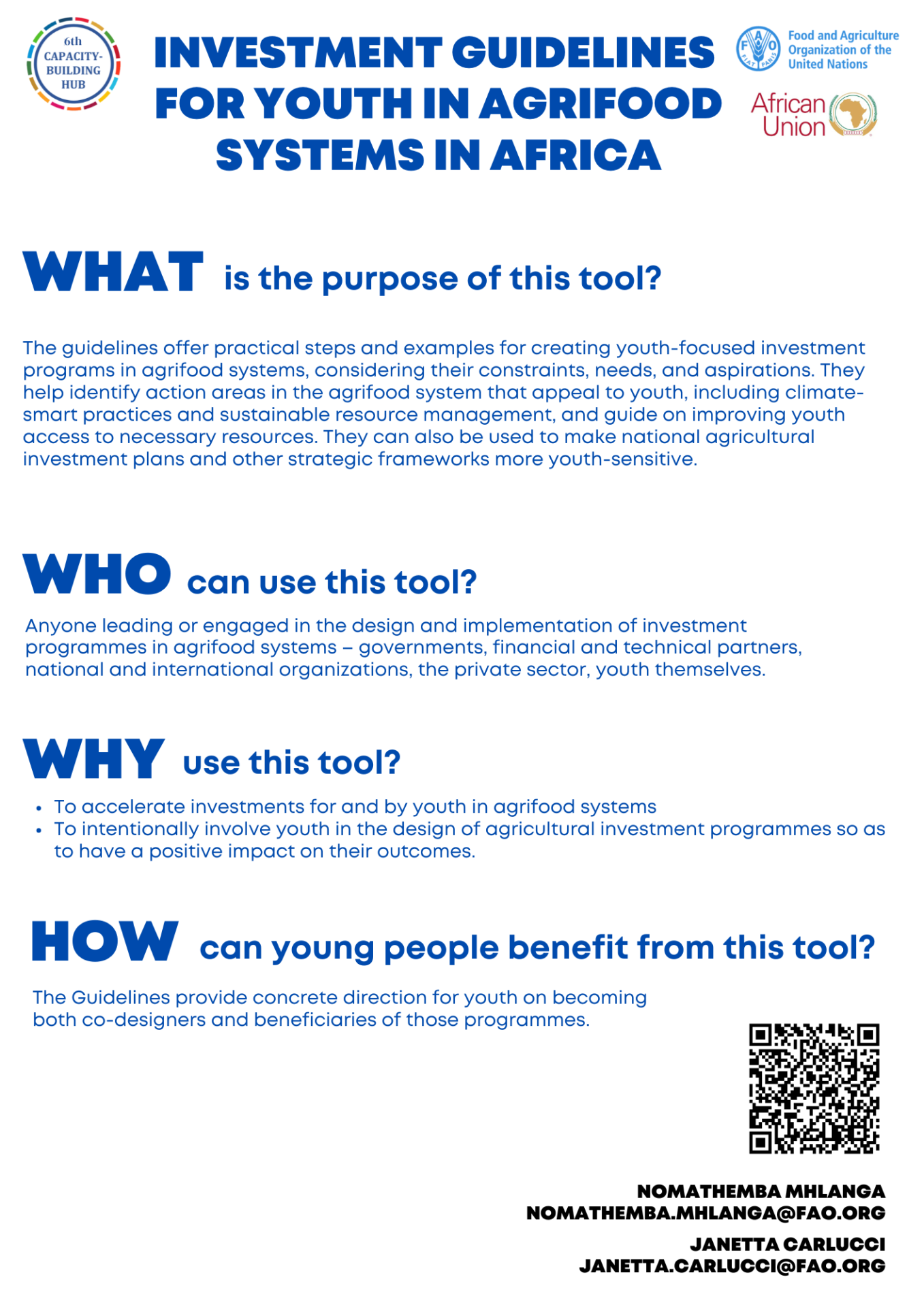 Investment Guidelines for Youth in Agrifood Systems in Africa Tool Guide