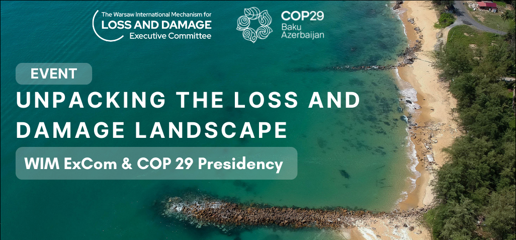 WIM ExCom COP 29 event