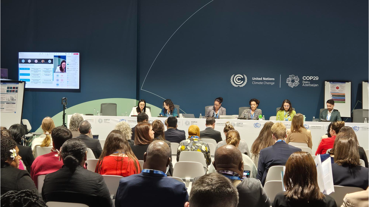 COP29 Side Event - SCF Presenters