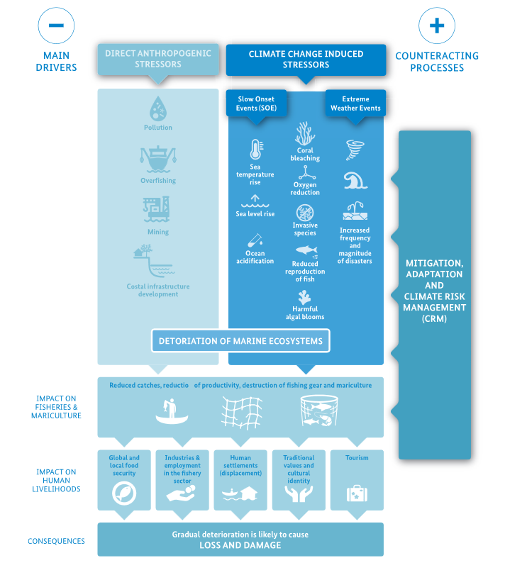  Impacts of climate change on fisheries and mariculture