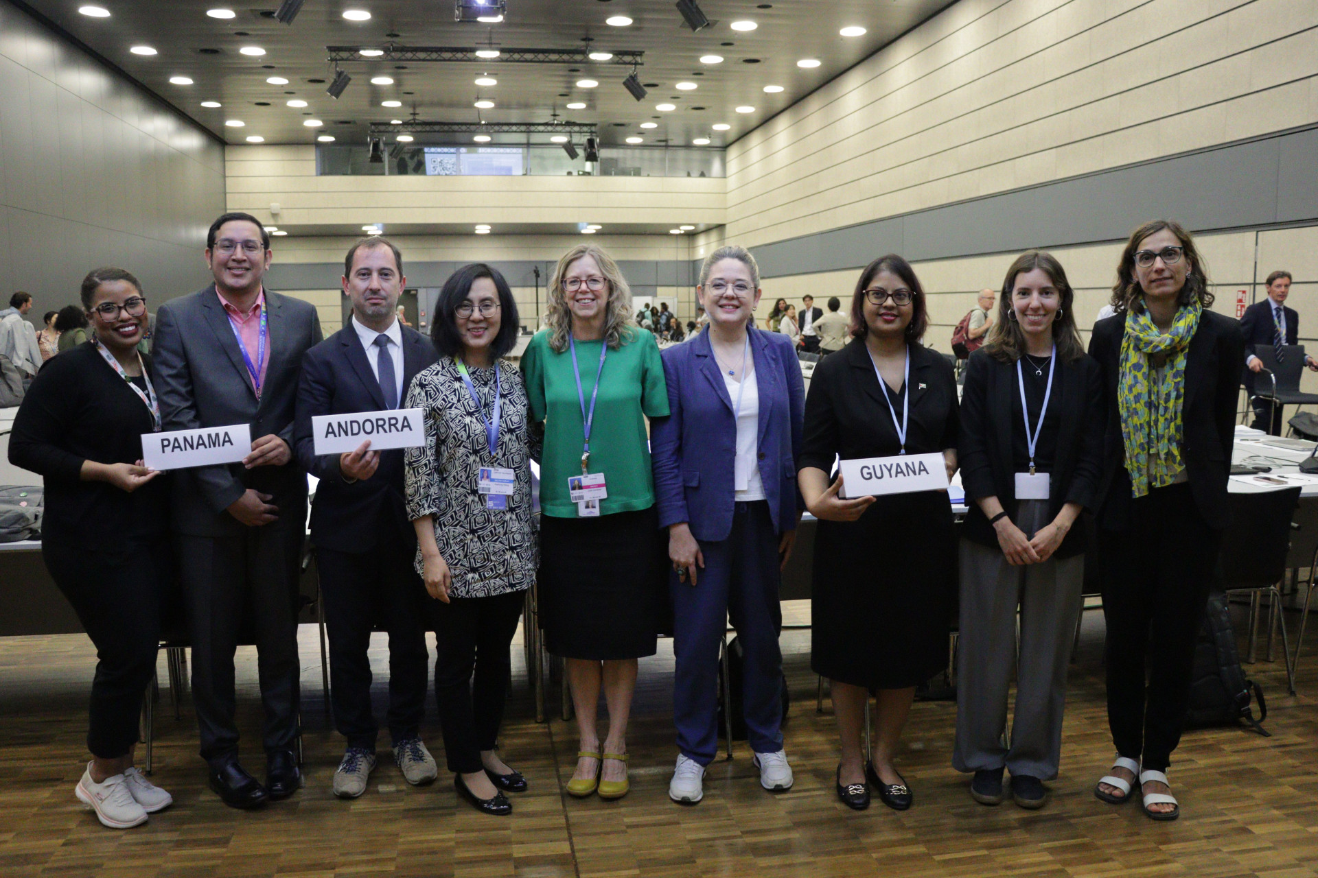 Group photo of first Facilitative Multilateral Consideration of Progress (FMCP)