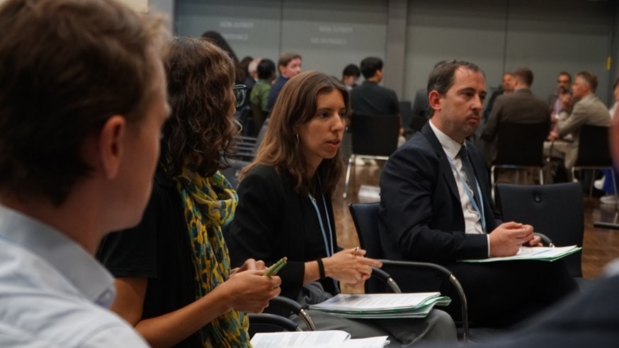 Informal FMCP Dialogue