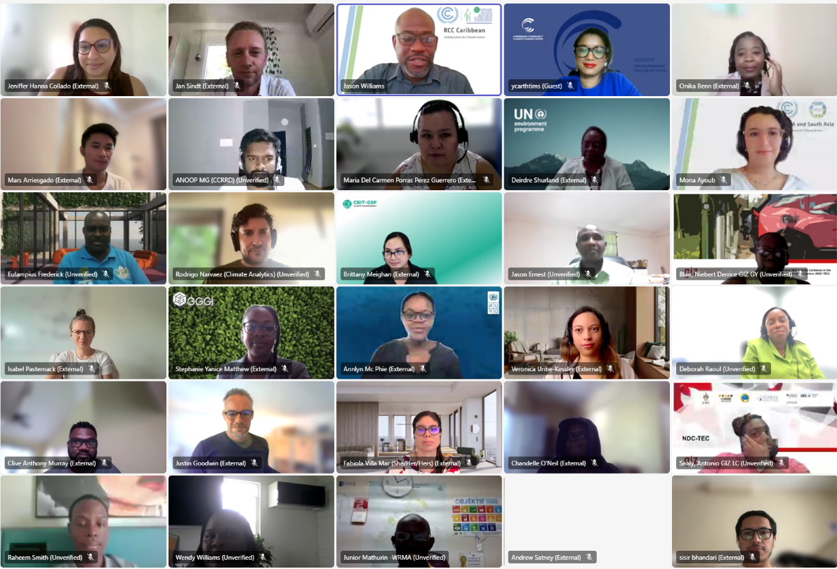 A family photo from the webinar 'Pathway to NDC 3.0: Experiences and Lessons Learned from Saint Lucia'