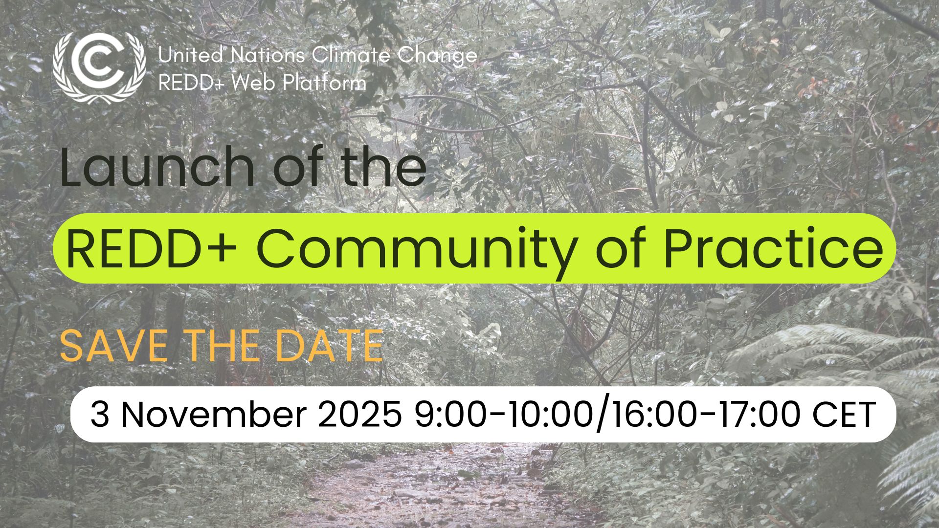 Launch of the REDD+ Community of Practice