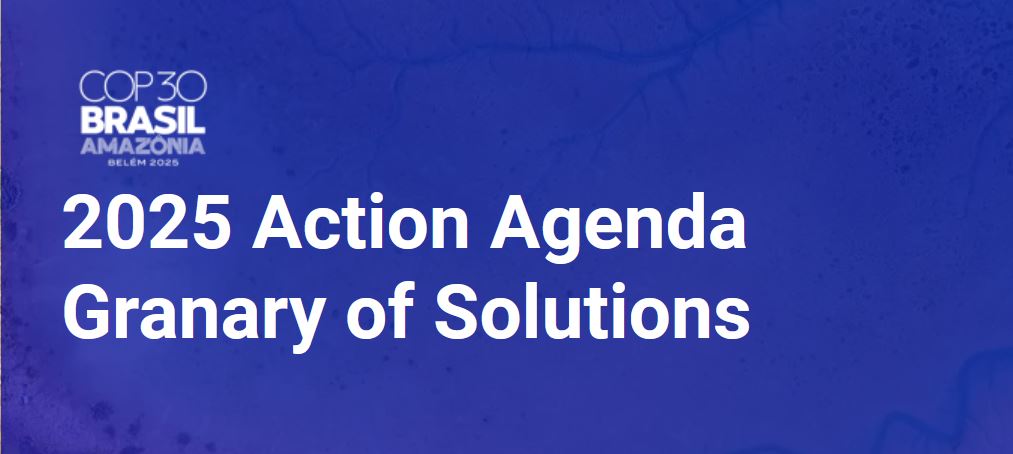 Granary of Solutions