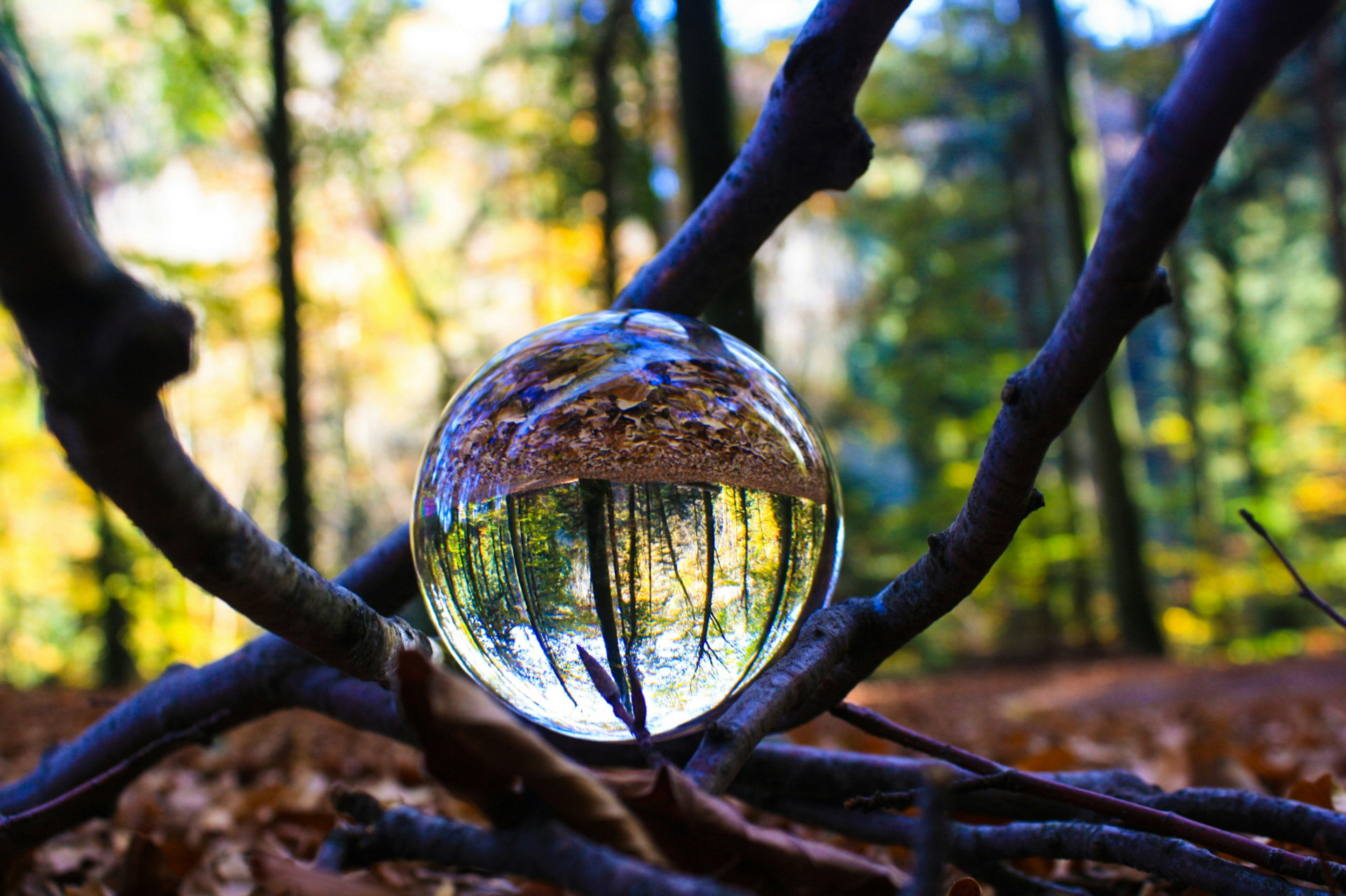 Nature reflected in magnifying glass