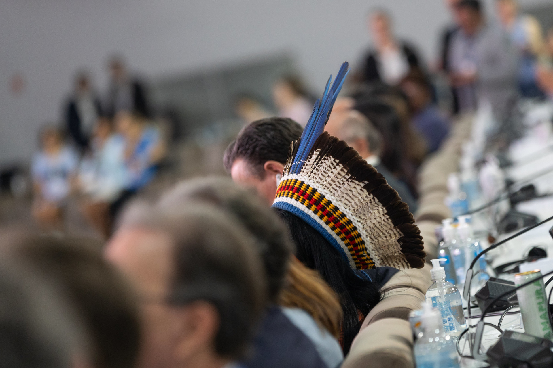 Diverse delegates at COP30