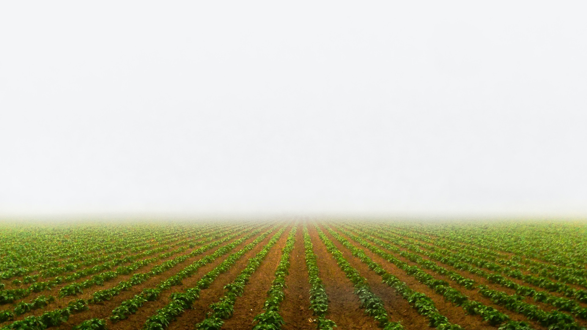UNFCCC 